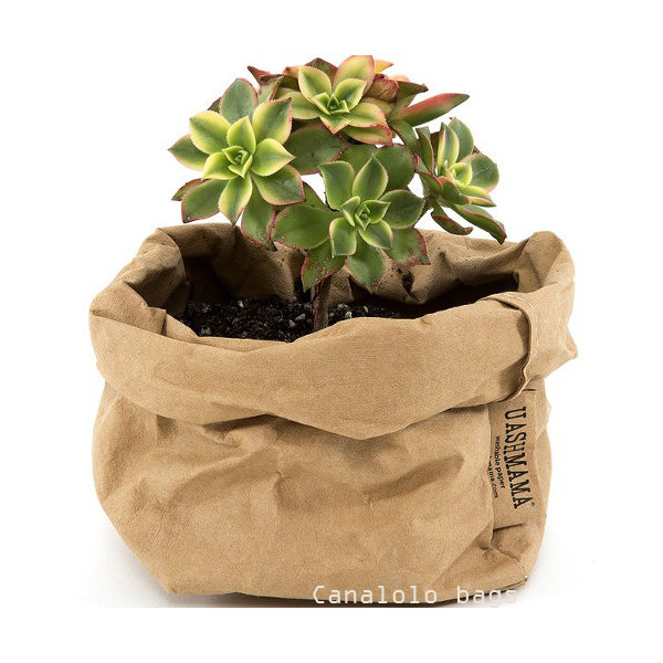 little plant bag